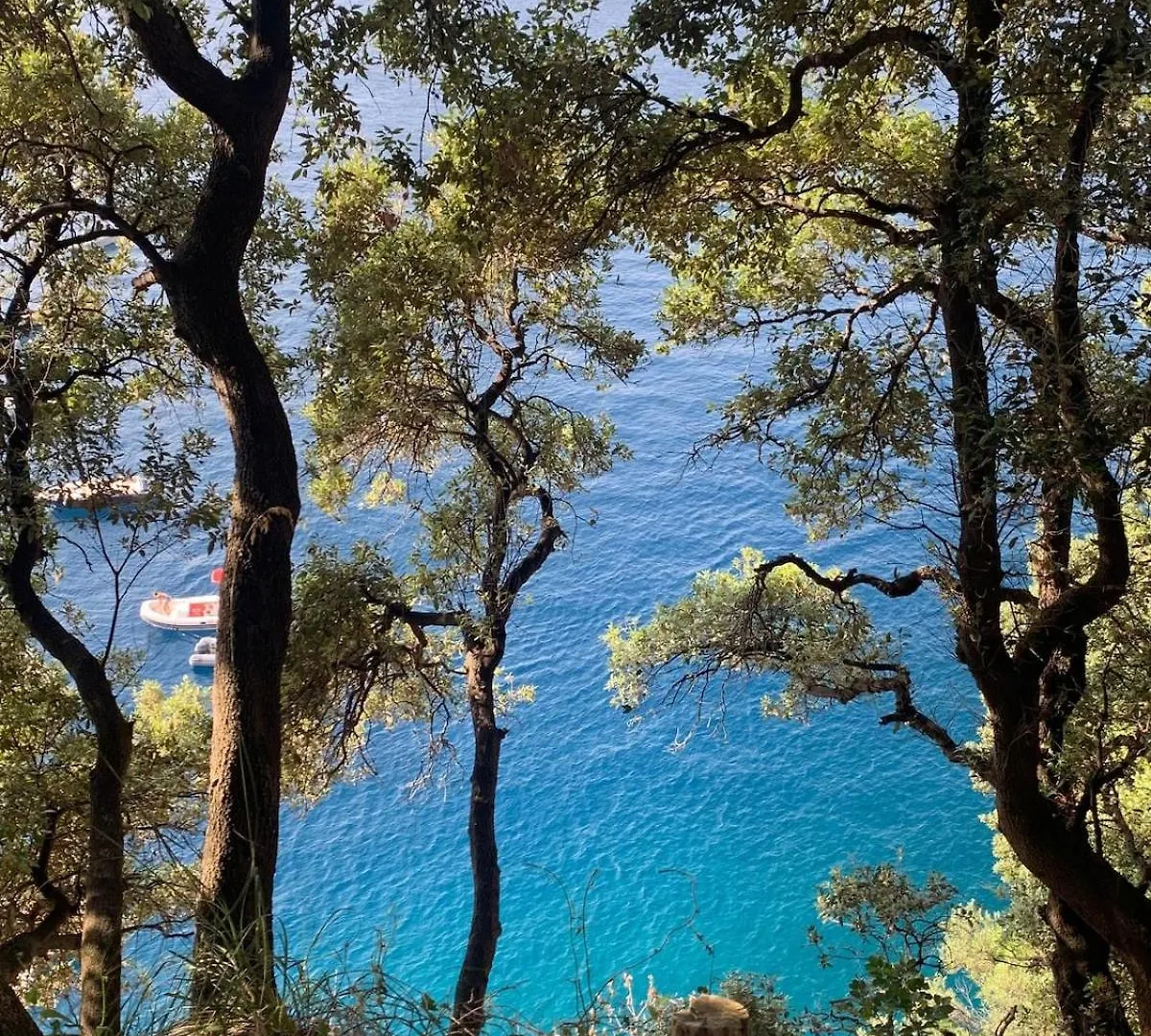 Sea View Apartment With Private Garden Camogli 0*,  Ιταλία